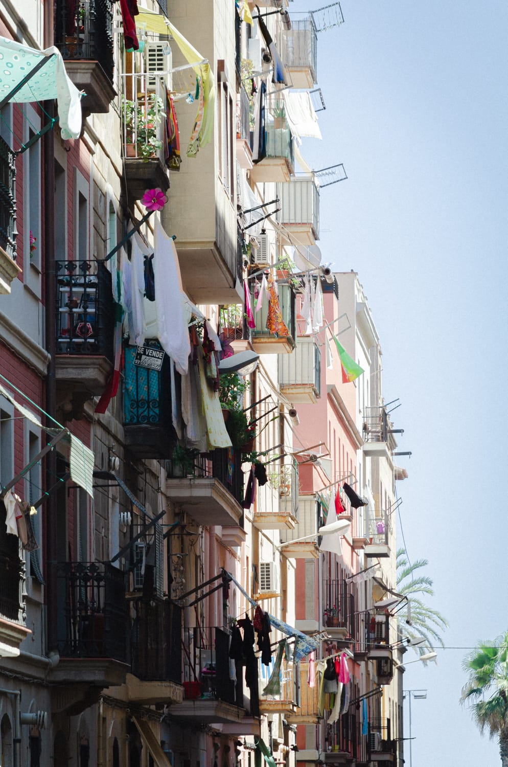 Фото 28 из альбома Barcelona 2012