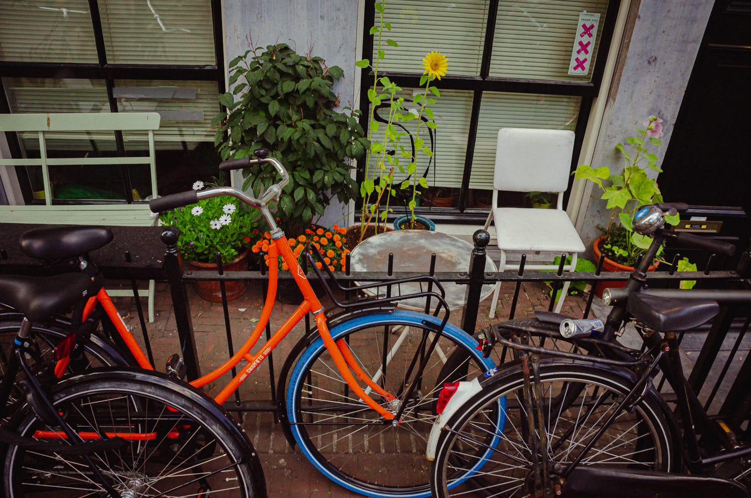 Фото 23 из альбома Amsterdam 2018
