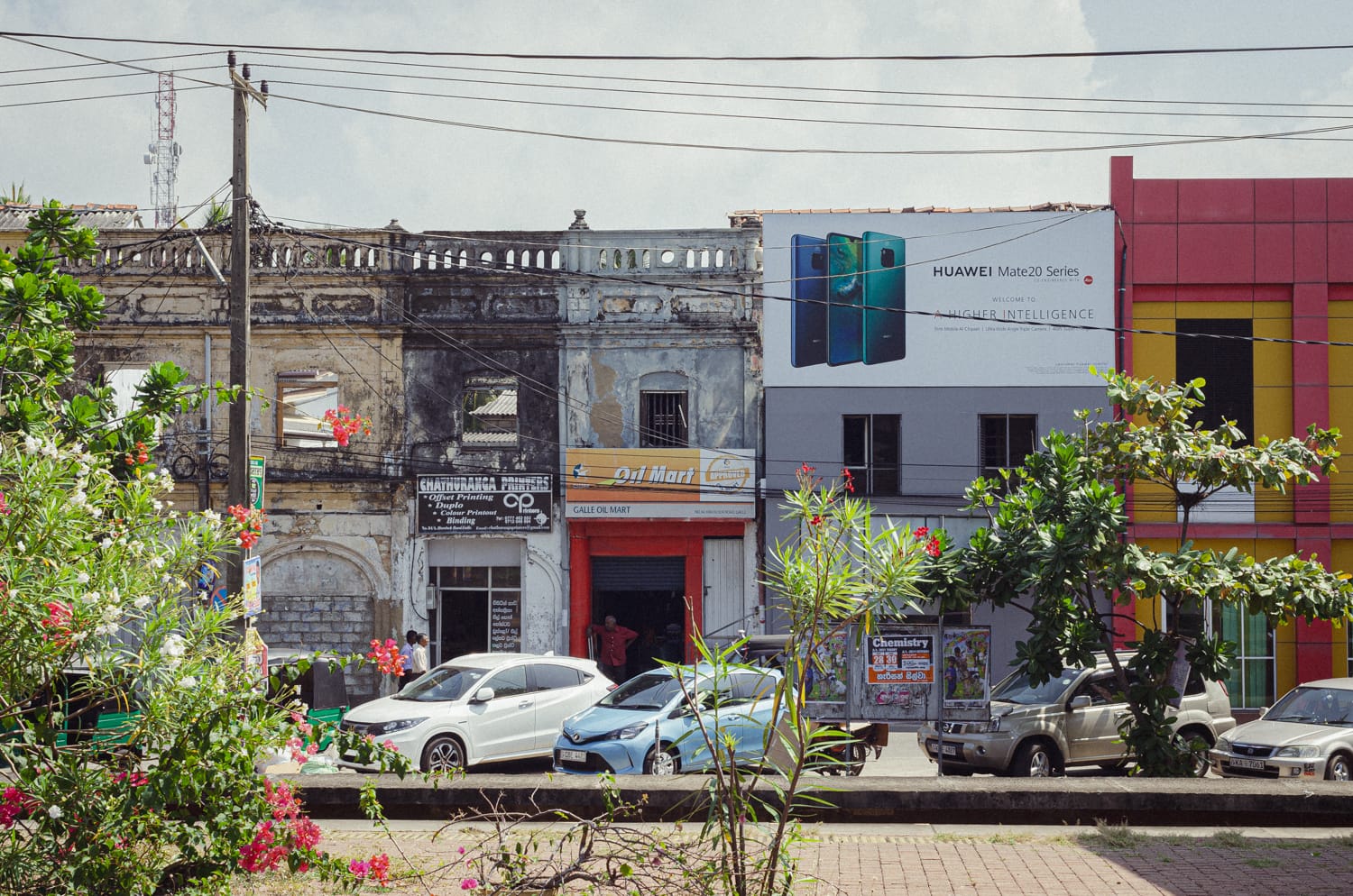 Фото 5 из альбома Sri Lanka 2019