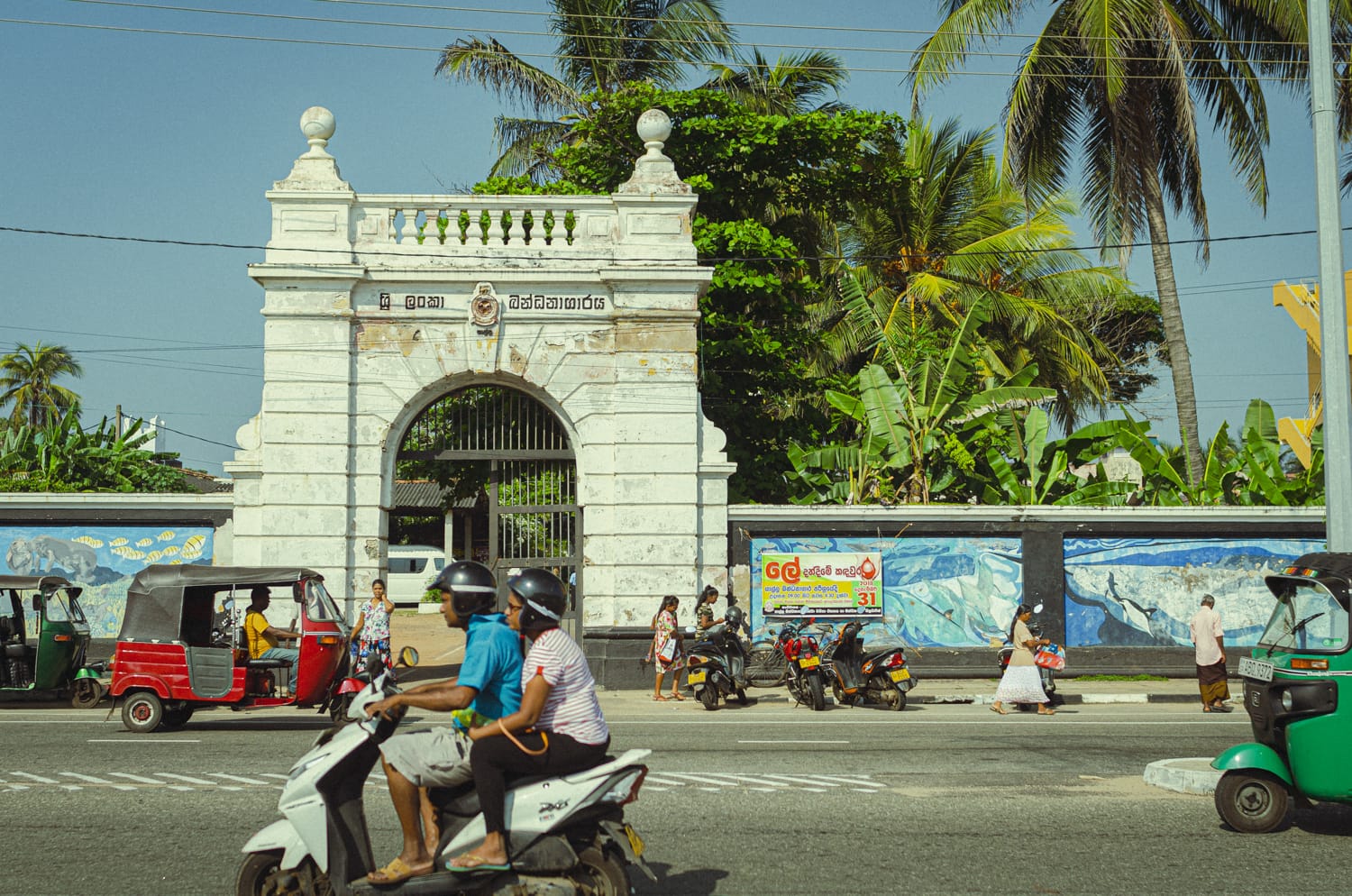 Фото 23 из альбома Sri Lanka 2019