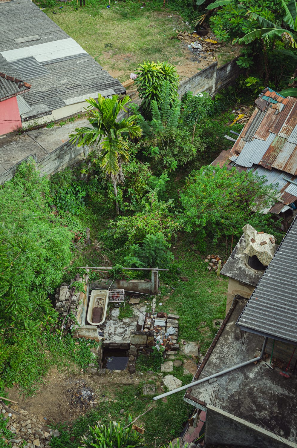 Фото 24 из альбома Sri Lanka 2019