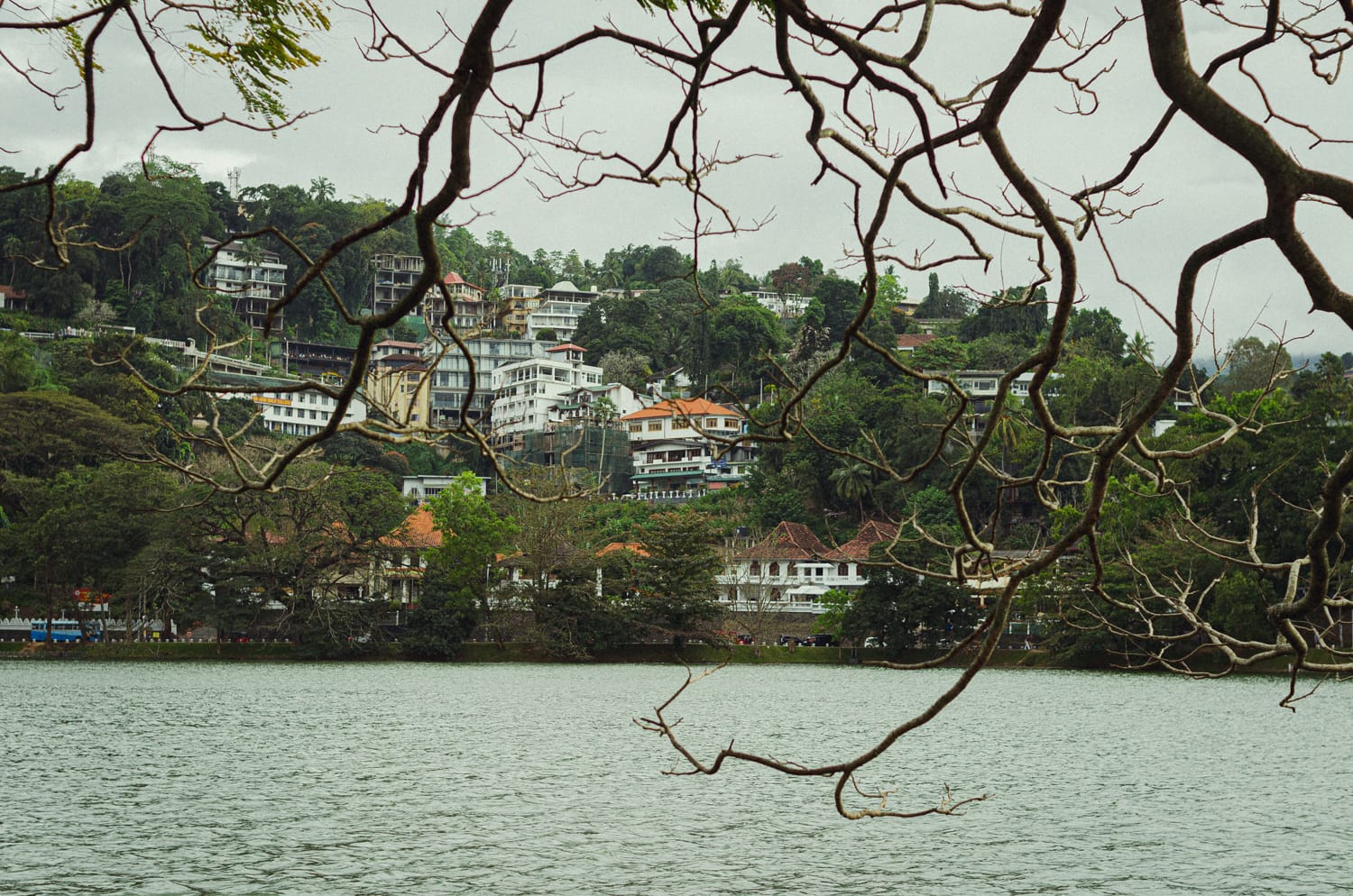 Фото 33 из альбома Sri Lanka 2019