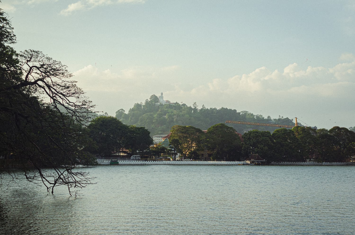 Фото 76 из альбома Sri Lanka 2019