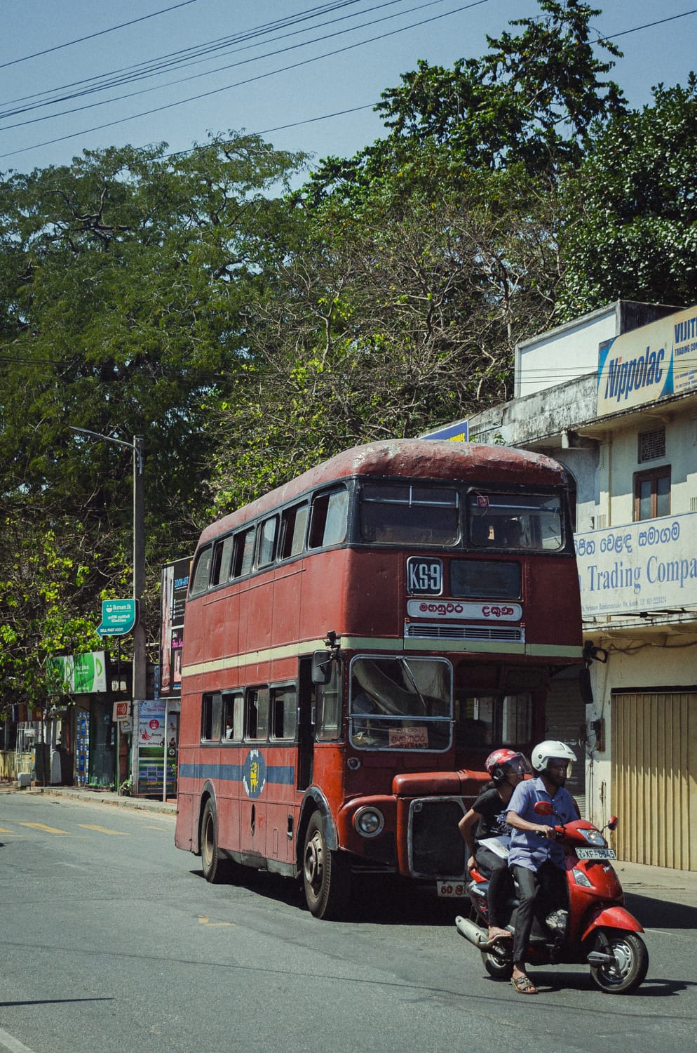 Фото 98 из альбома Sri Lanka 2019