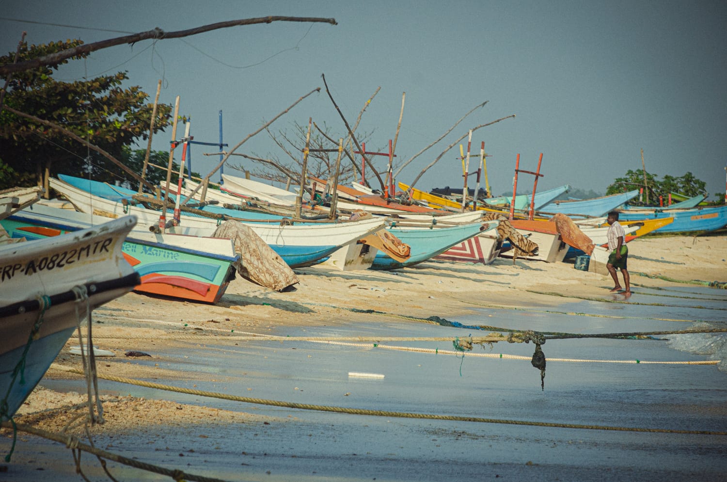 Фото 237 из альбома Sri Lanka 2019