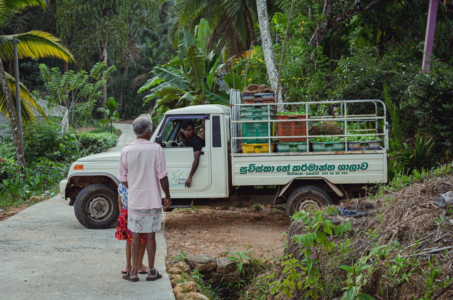 Фото 245 из альбома Sri Lanka 2019