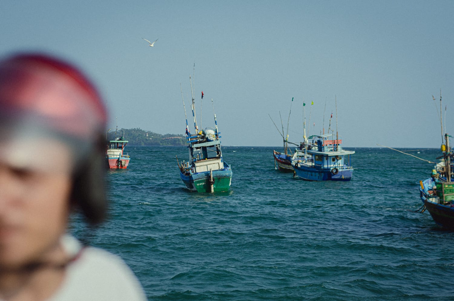 Фото 323 из альбома Sri Lanka 2019