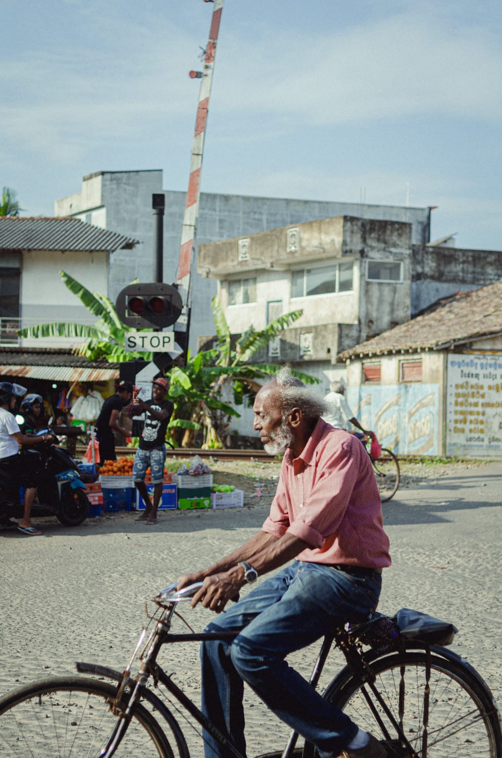 Фото 338 из альбома Sri Lanka 2019