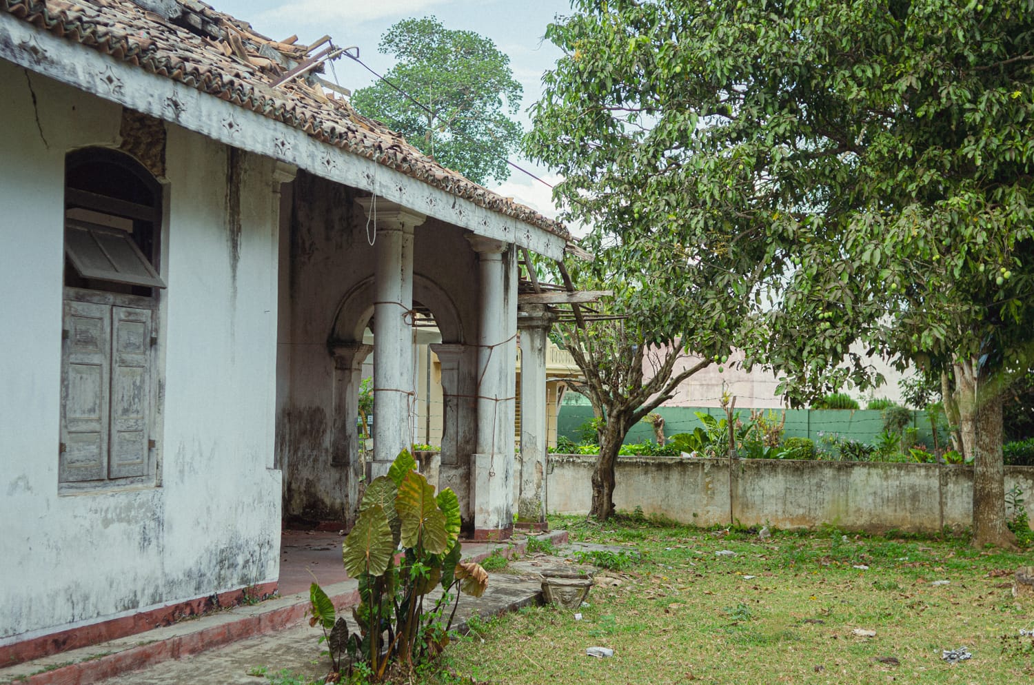 Фото 360 из альбома Sri Lanka 2019