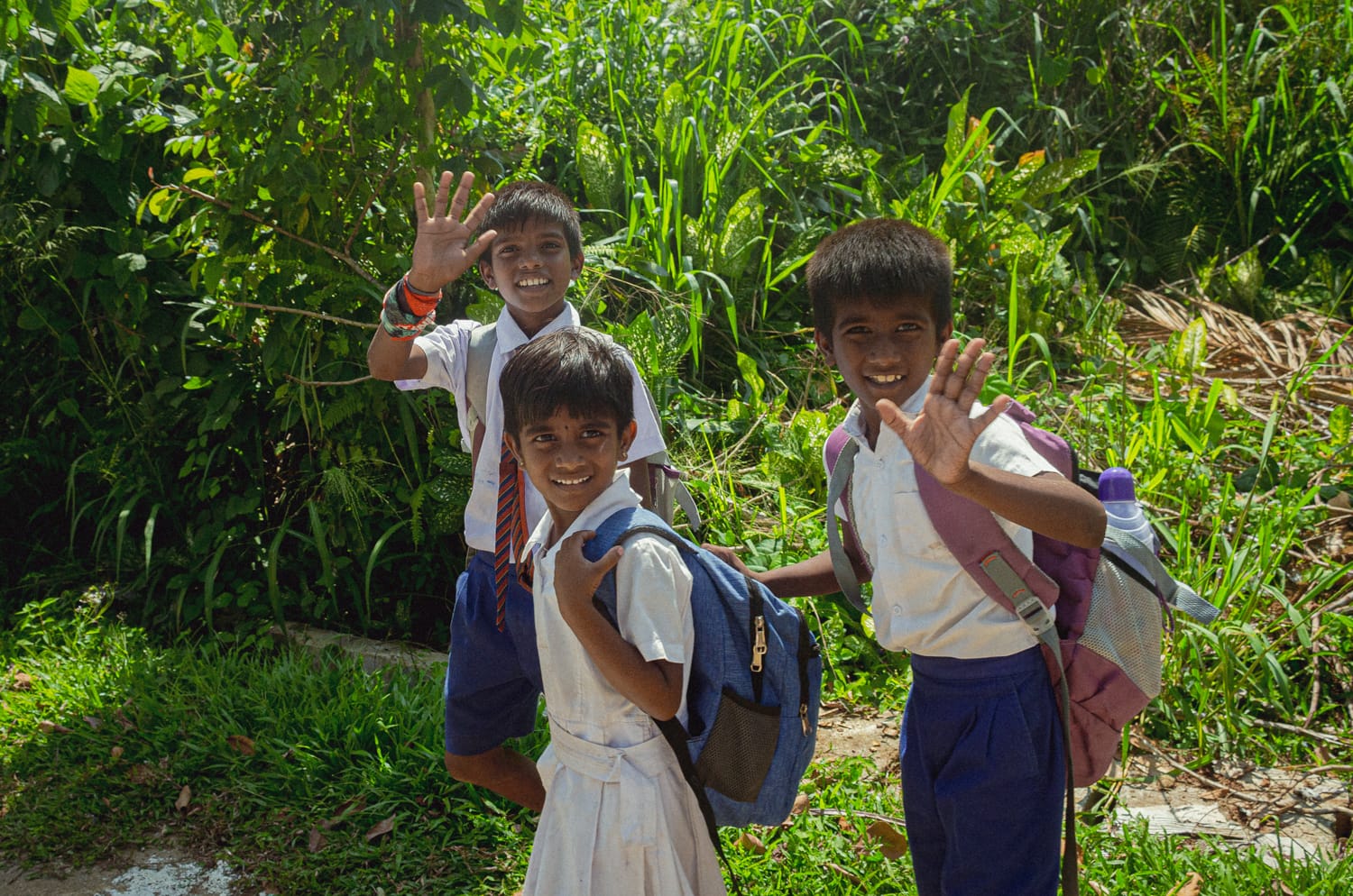 Фото 376 из альбома Sri Lanka 2019