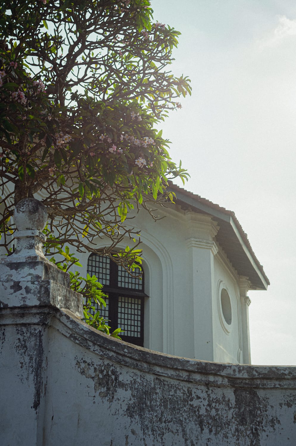 Фото 388 из альбома Sri Lanka 2019