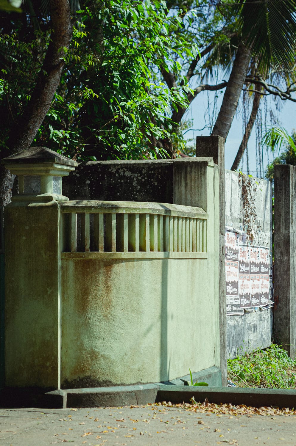 Фото 415 из альбома Sri Lanka 2019