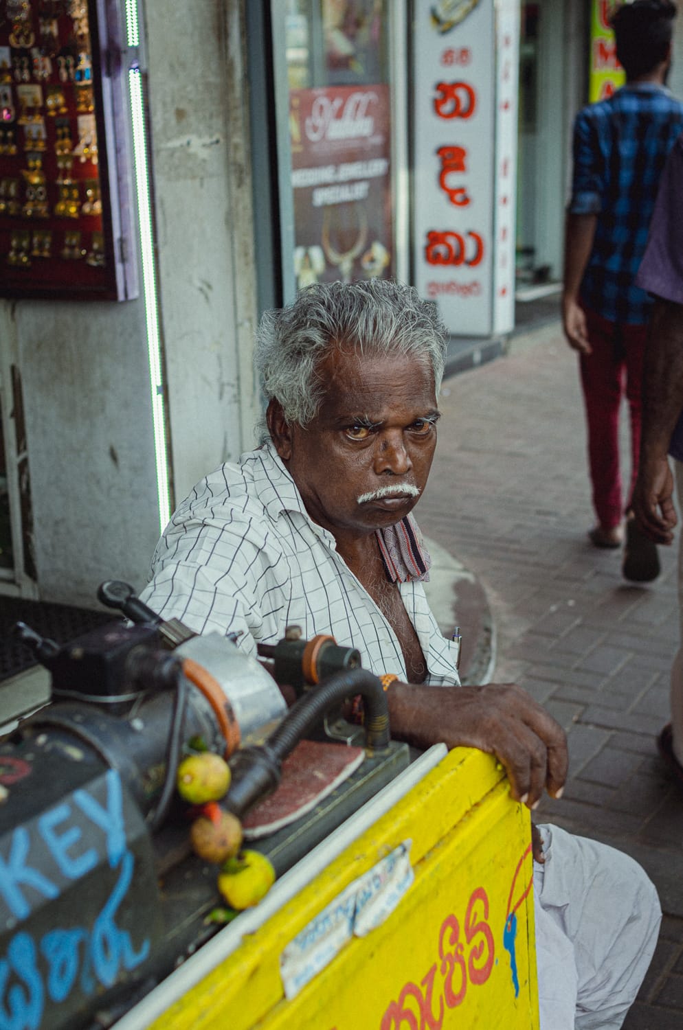 Фото 475 из альбома Sri Lanka 2019