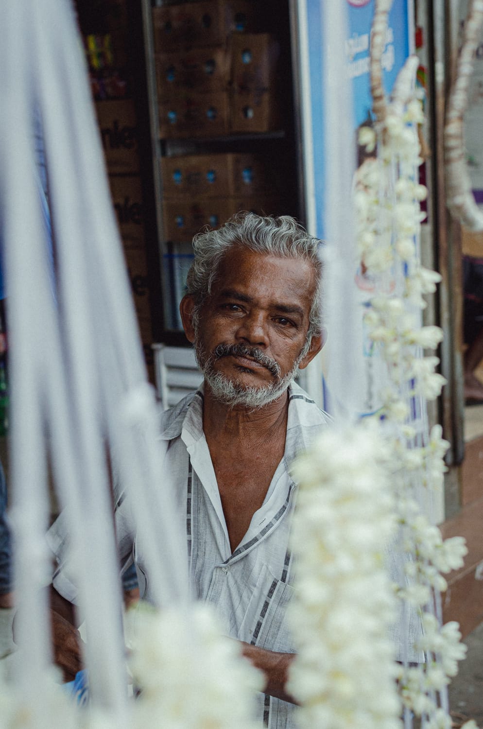 Фото 476 из альбома Sri Lanka 2019