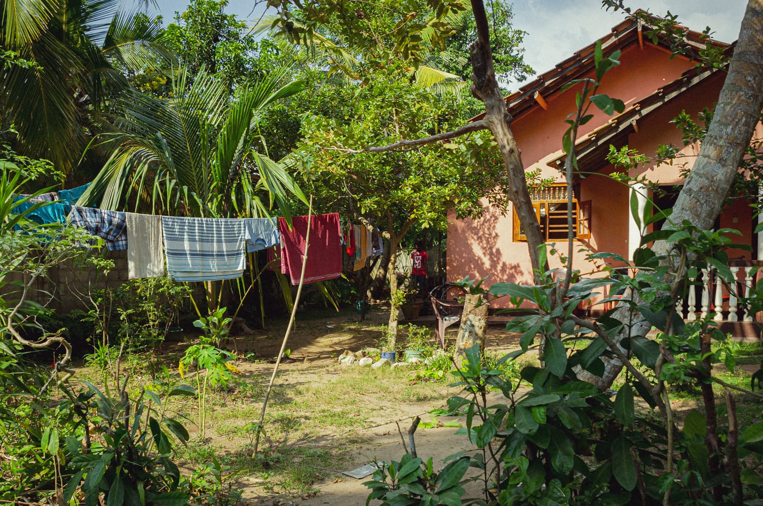 Фото 489 из альбома Sri Lanka 2019