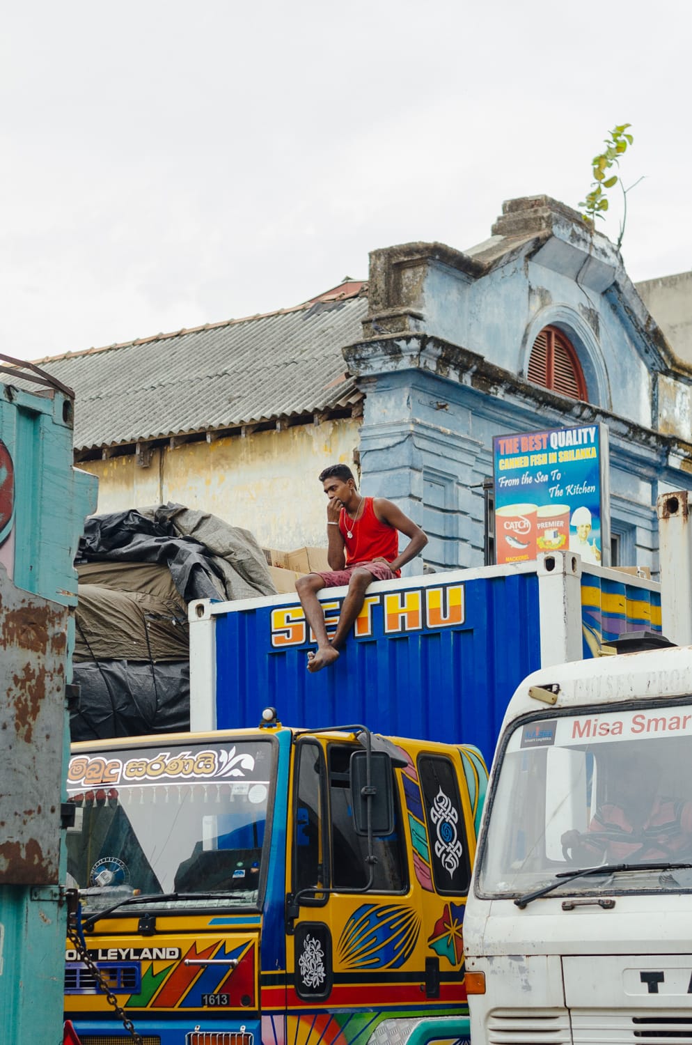 Фото 495 из альбома Sri Lanka 2019