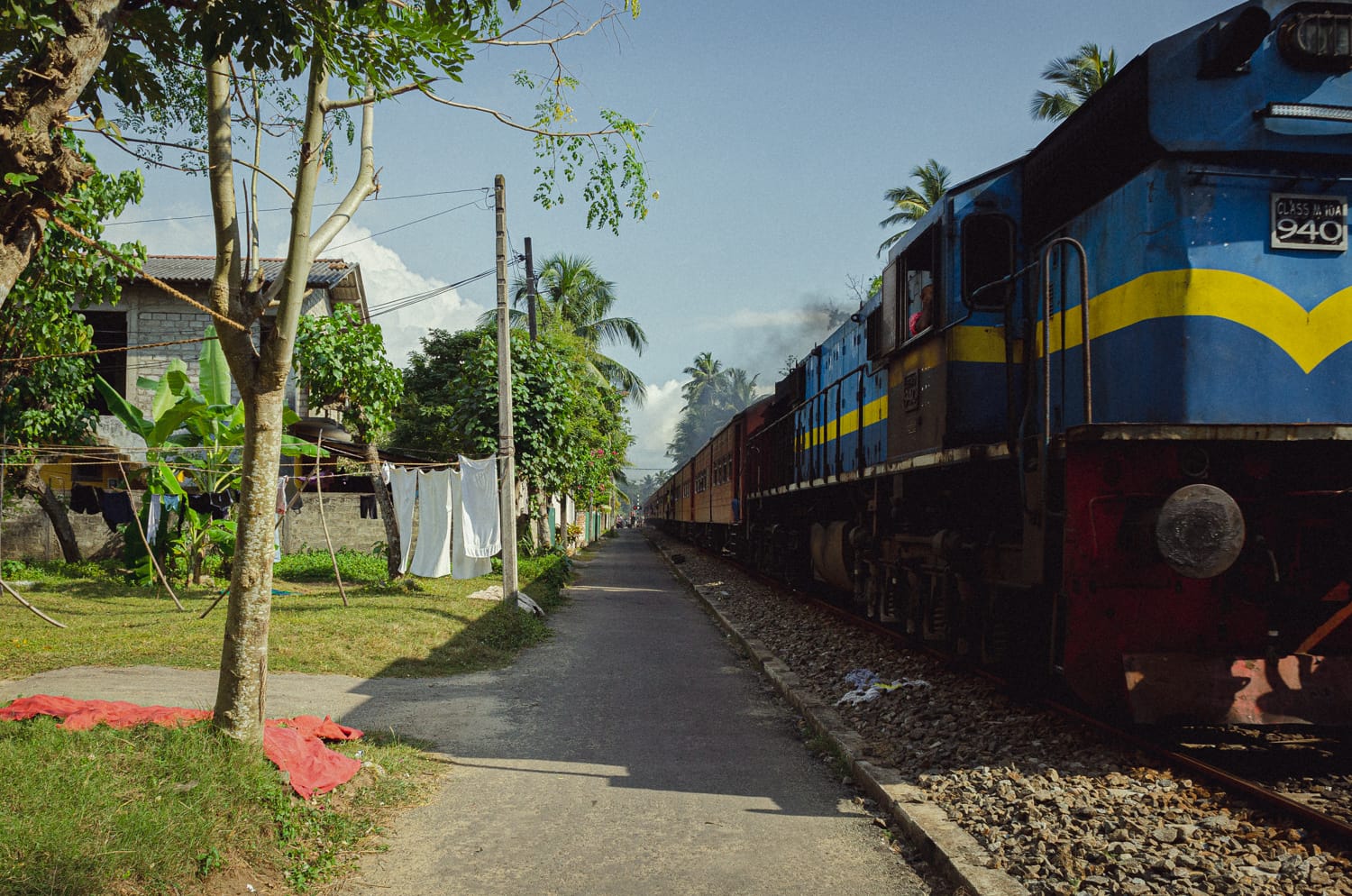 Фото 500 из альбома Sri Lanka 2019
