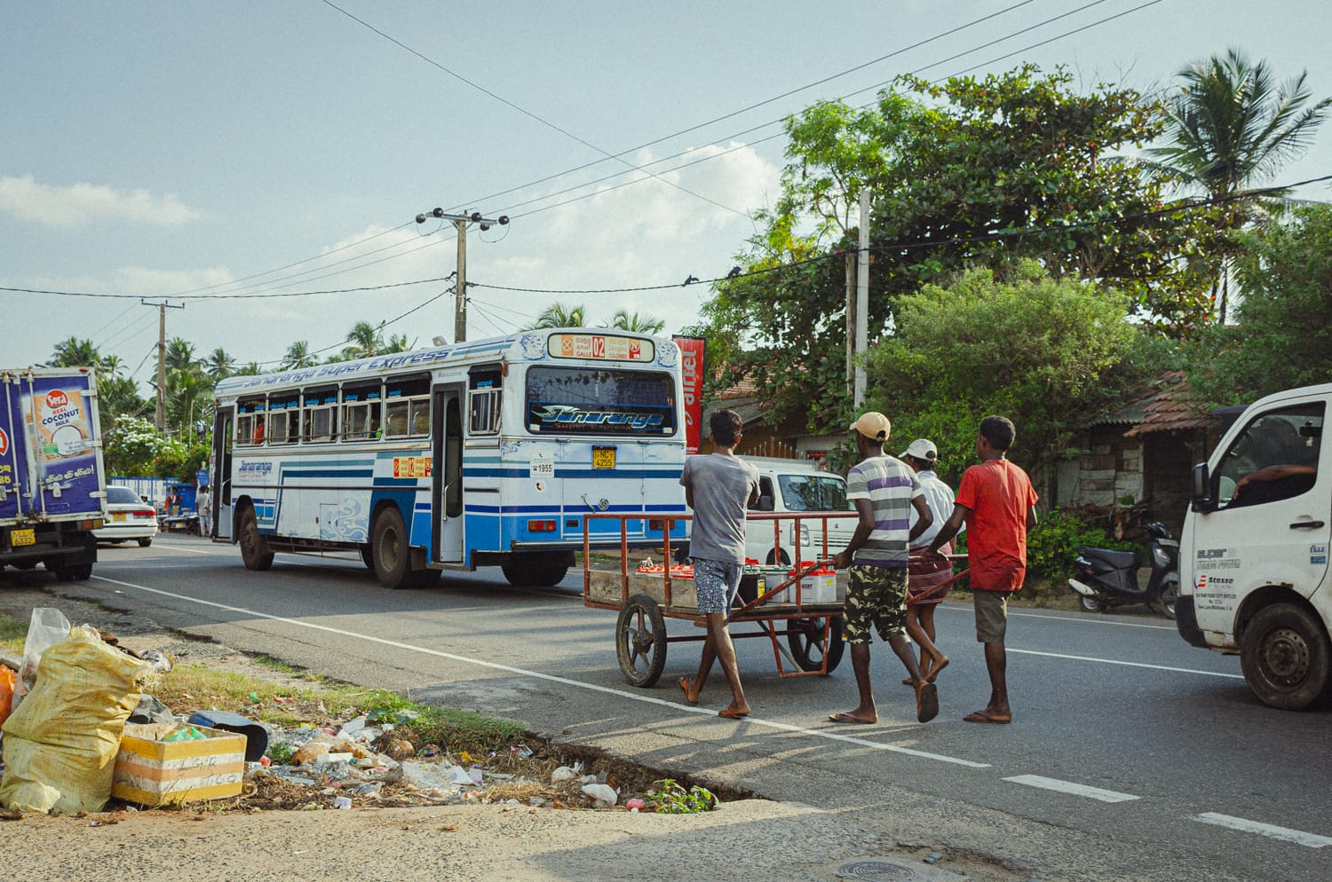 Фото 519 из альбома Sri Lanka 2019