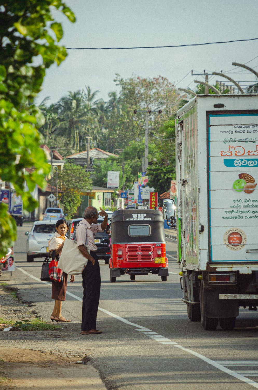 Фото 520 из альбома Sri Lanka 2019