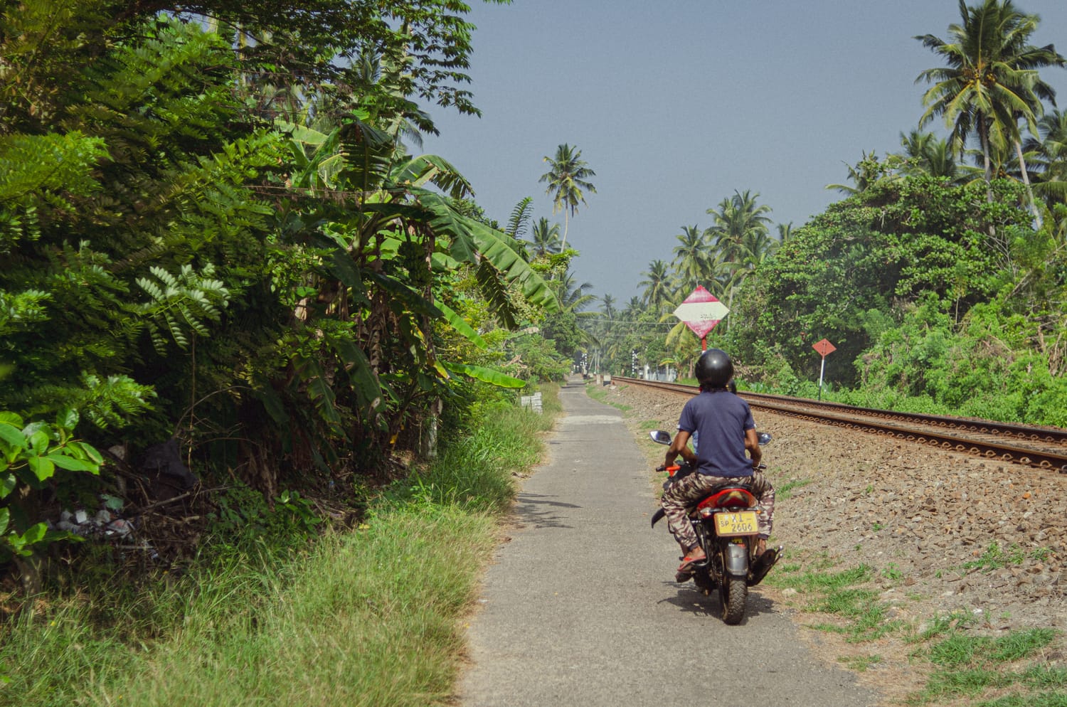 Фото 542 из альбома Sri Lanka 2019