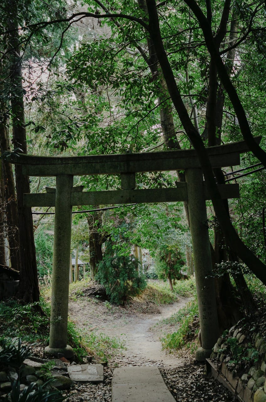Фото 28 из альбома Kyoto 2024