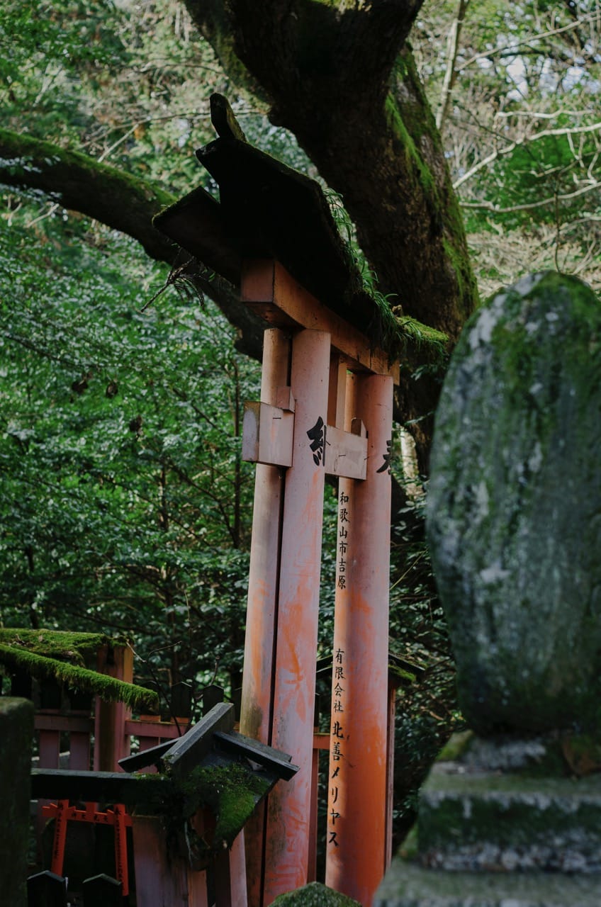 Фото 29 из альбома Kyoto 2024