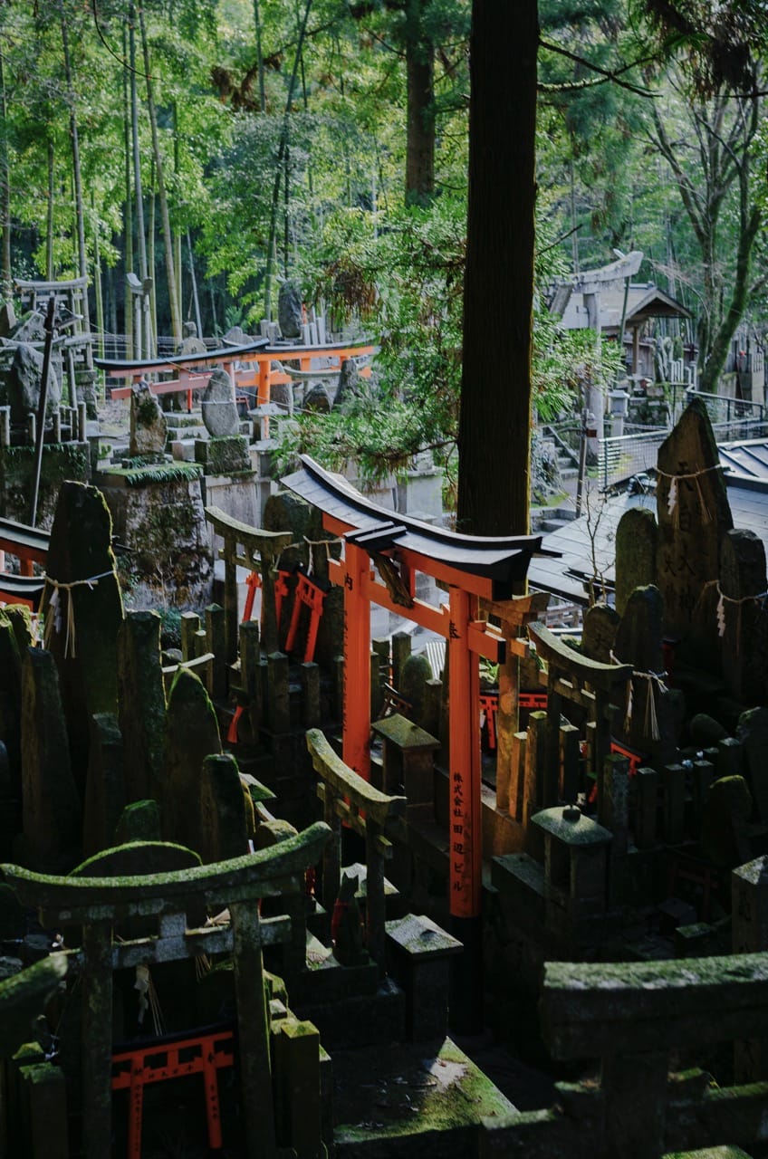 Фото 31 из альбома Kyoto 2024