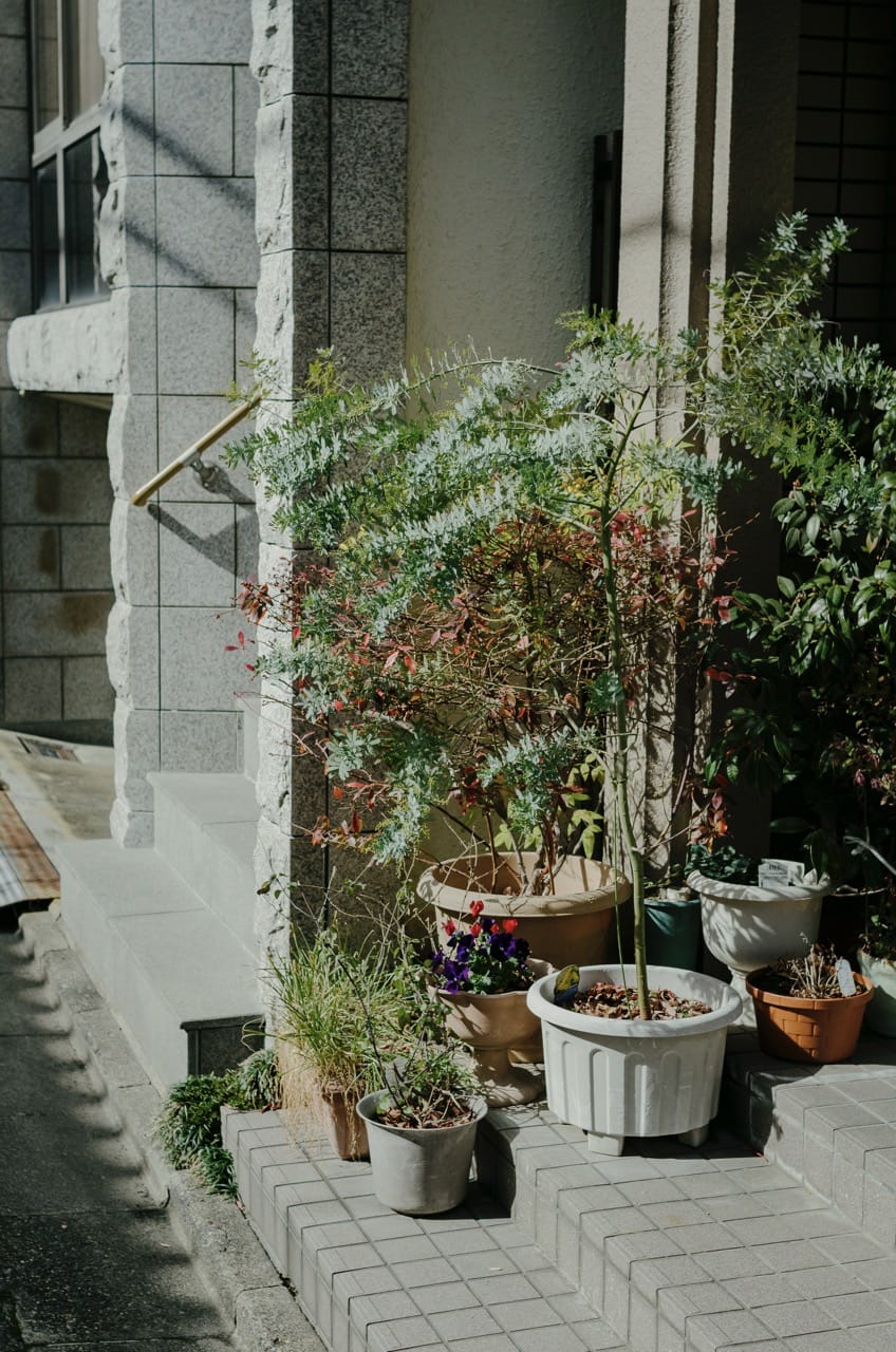 Фото 235 из альбома Kyoto 2024