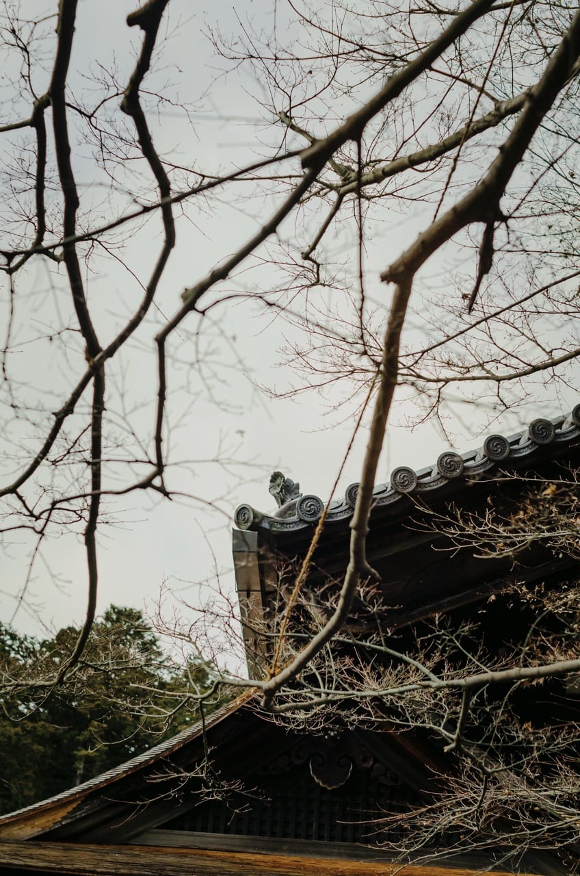 Фото 98 из альбома Nara 2024